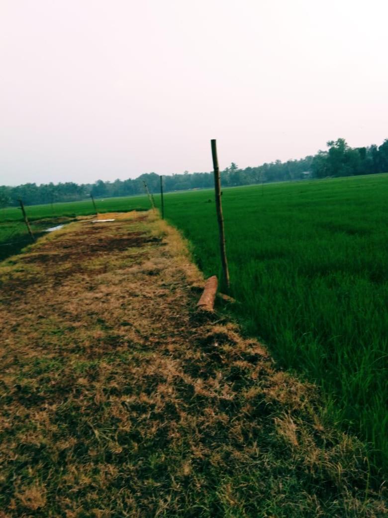 Thomman'S Farm Stay Коттаям Екстер'єр фото